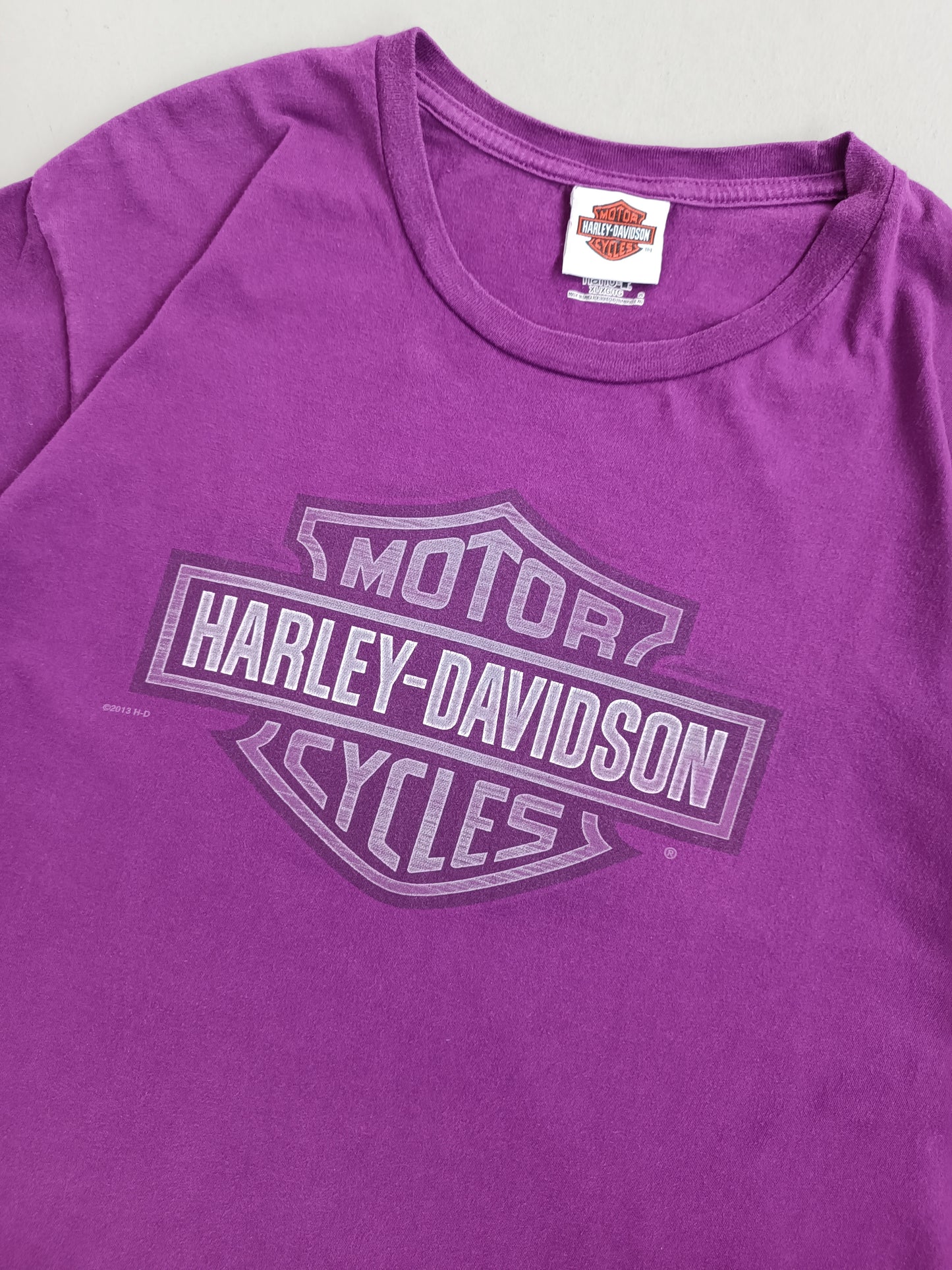 Harley Davidson Appleton - XL
